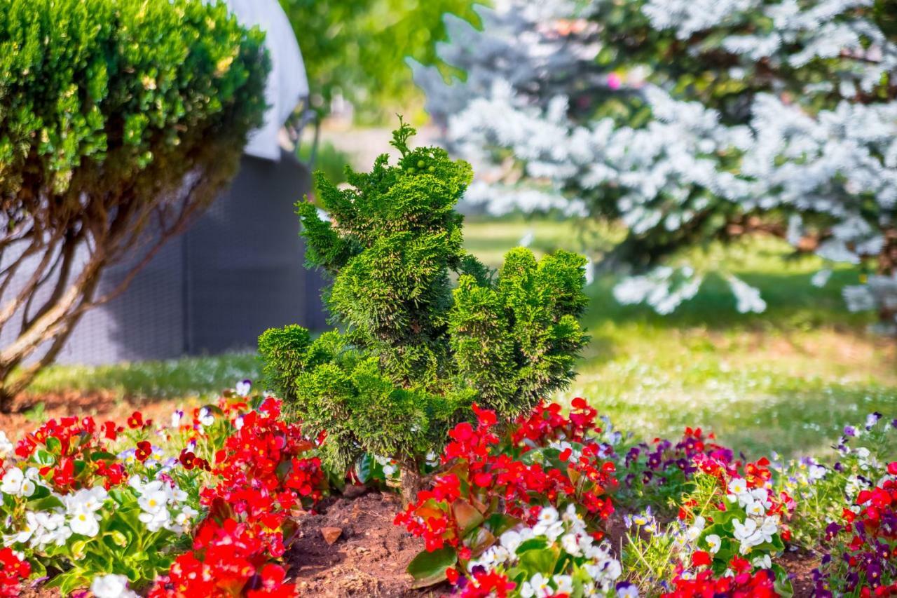 Garden Paradise App Sveti Vid-Miholjice Exterior foto